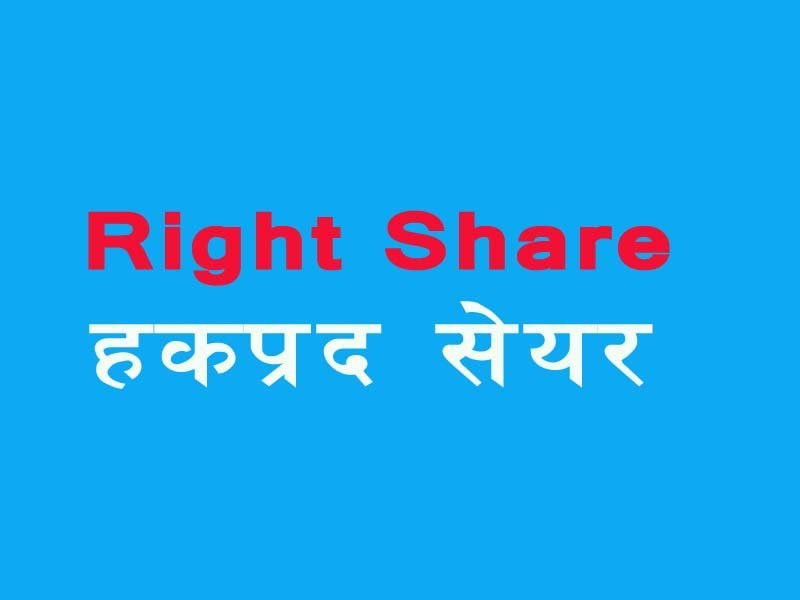 ५० प्रतिशत हकप्रद बिक्री गर्न पिपुल्स पावरलाई बोर्डको स्वीकृती