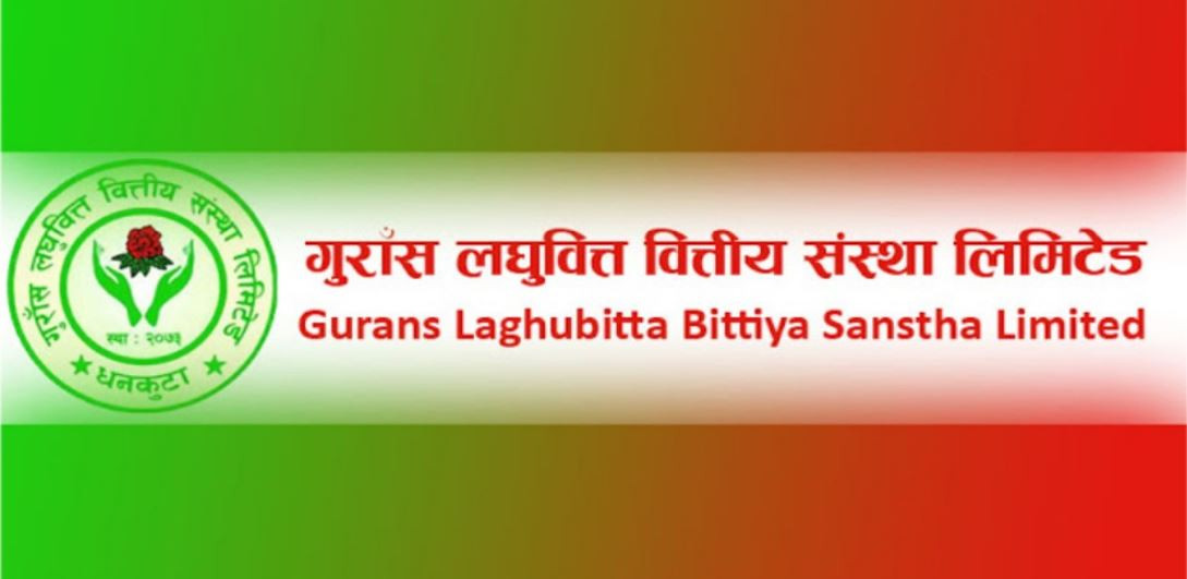 गुराँस लघुवित्तले कमायो २ करोड ५९ लाख खुद नाफा, प्रतिसेयर आम्दानी कति ?