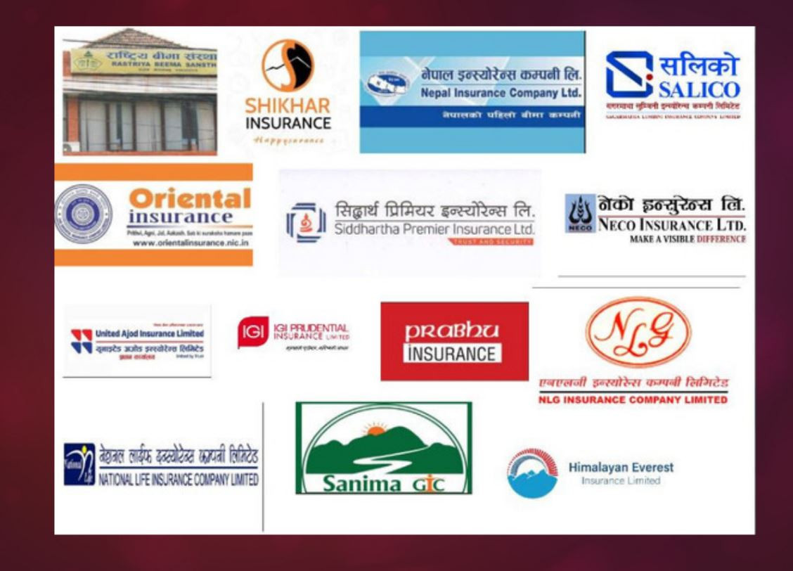 एक बर्षमा निर्जीवन बीमा कम्पनीले कमायो ७ अर्ब ४३ करोड नाफा, कुन कम्पनीको कति ?