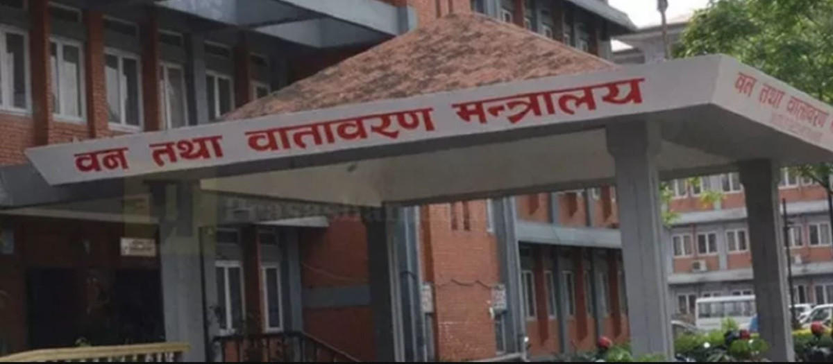 ‘उपभोक्ताले सहजै पाउँदैनन् काठ’
