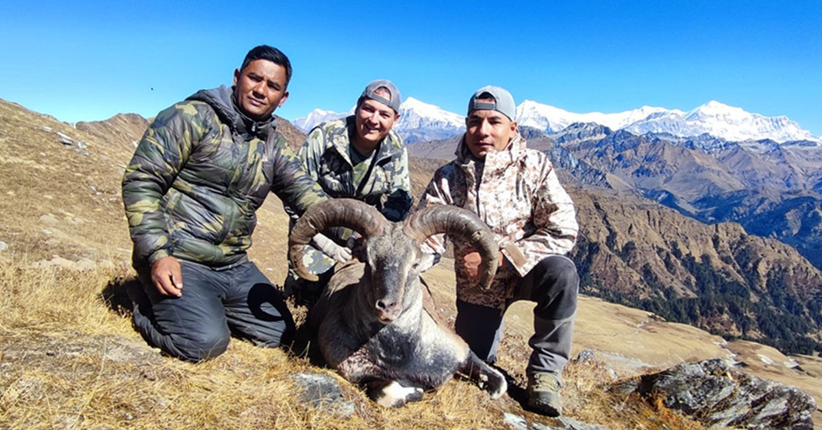 दोस्रो याममा ११ नाउर र सात झारलमात्र सिकार