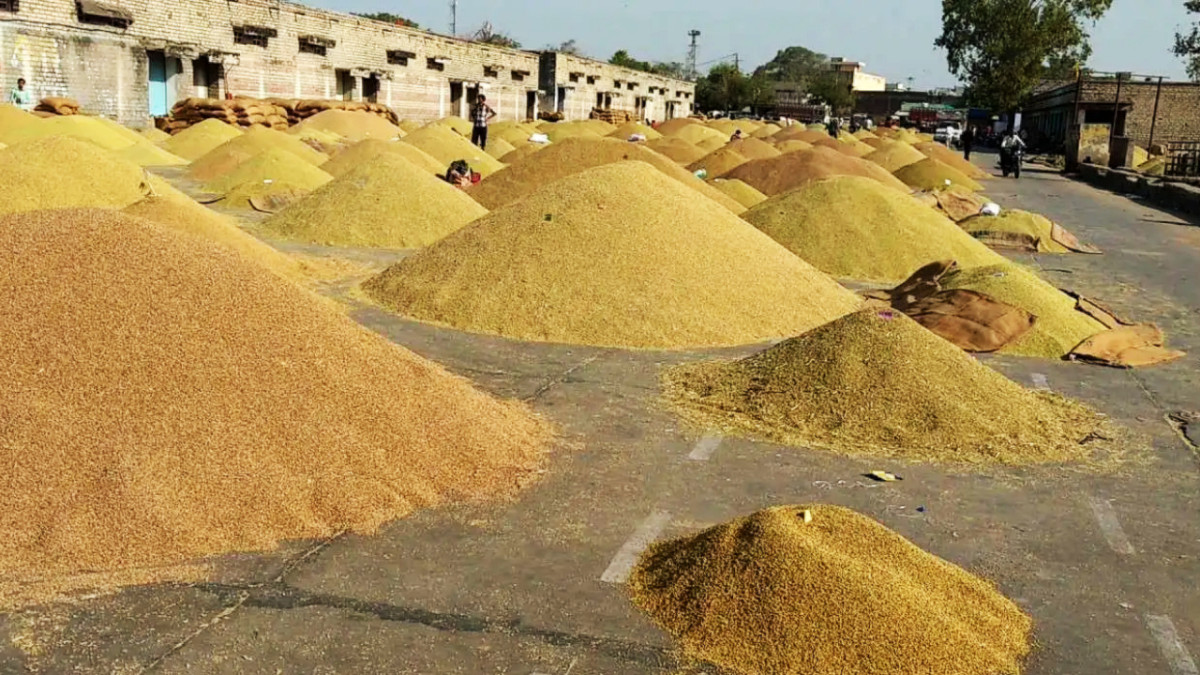 सिरहामा  खाद्य कम्पनीद्वारा धान खरिद सुरु