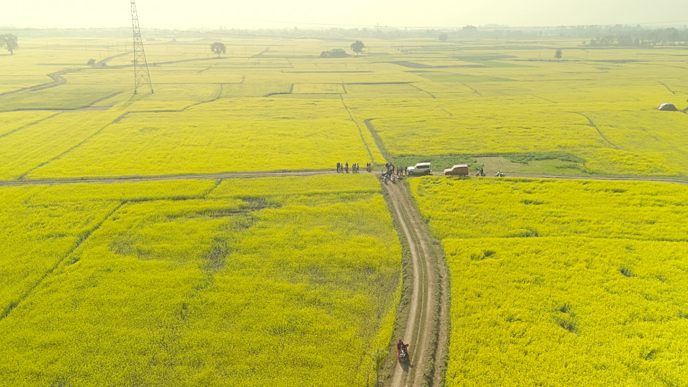 सिँचाइ पुगेपछि फेरियो भेँडाबारी गौचरनको पहिचान