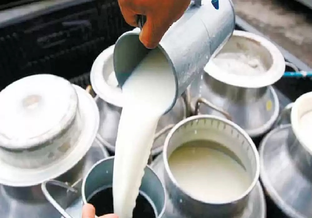 कर्णालीका दुग्ध उत्पादक किसानलाई प्रोत्साहन