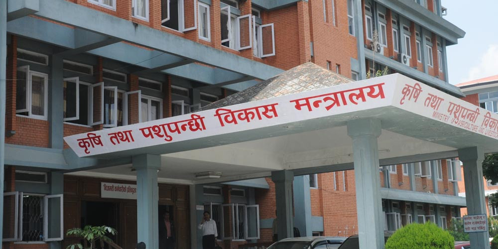 वर्षाबाट कृषि क्षेत्रमा ३ अर्ब ५५ करोडको क्षति