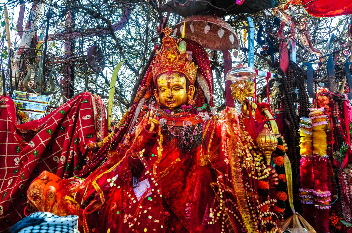 पाथीभरामा साउनदेखि पुससम्म एक करोड ३० लाख भेटी  संकलन