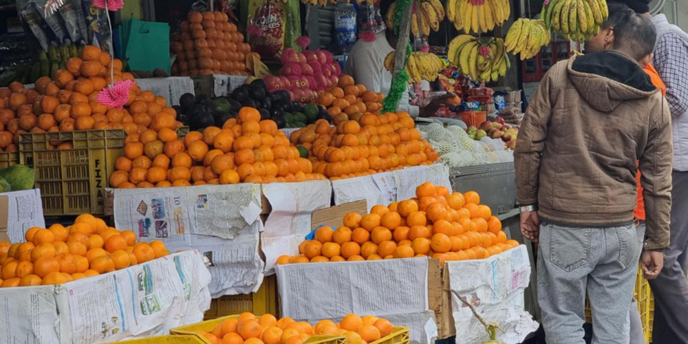 ६ महिनामा ७ हजार ४८ मेट्रिक टन सुन्तला आयात
