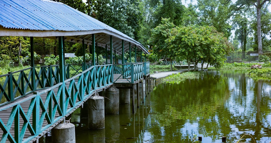 आन्तरिक पर्यटकको केन्द्र भन्दै बेतना सीमसार