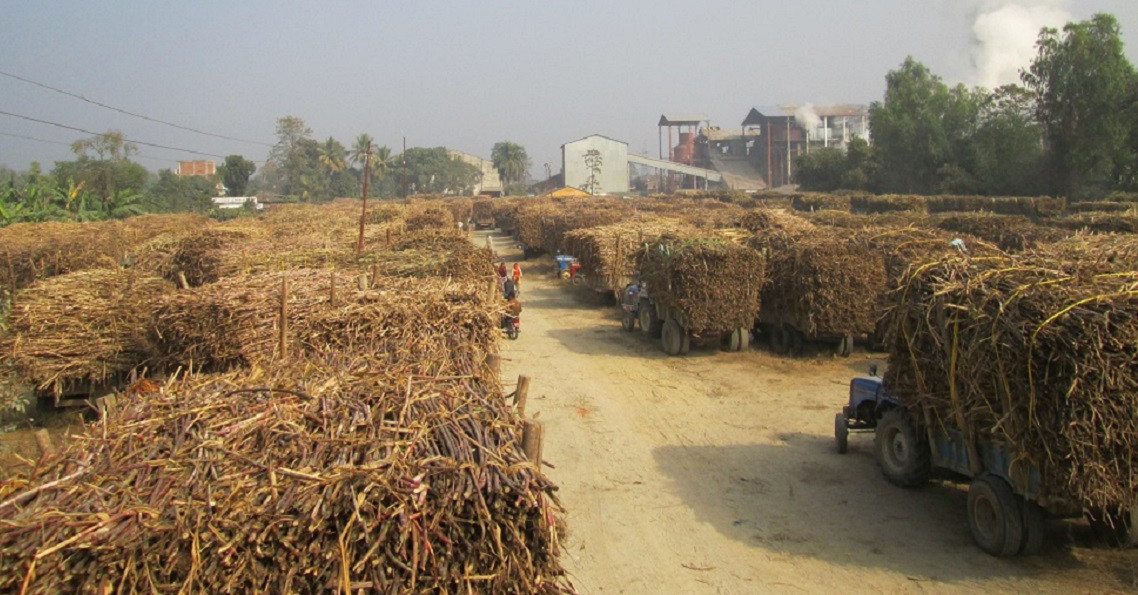 इन्दु शंकर चिनी उद्योगद्वारा ४७ जना उखु किसान सम्मानित