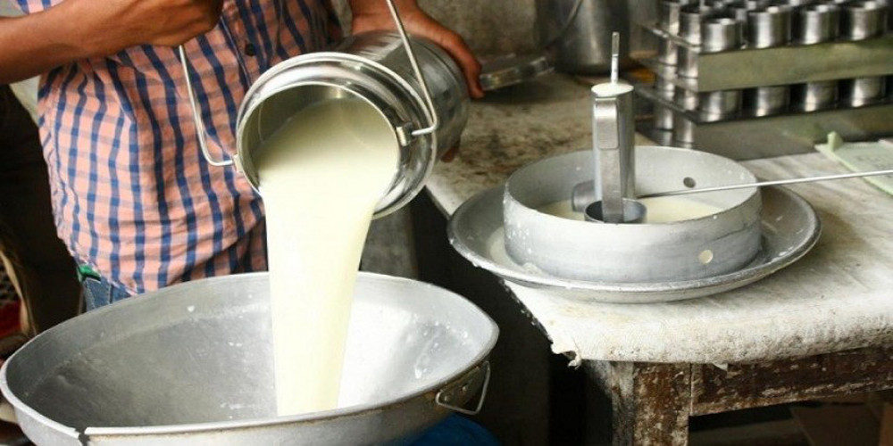 बागलुङका व्यवसायी सापकोटा दूध बेचेर मासिक रु एक लाखसम्म बचत गर्दै