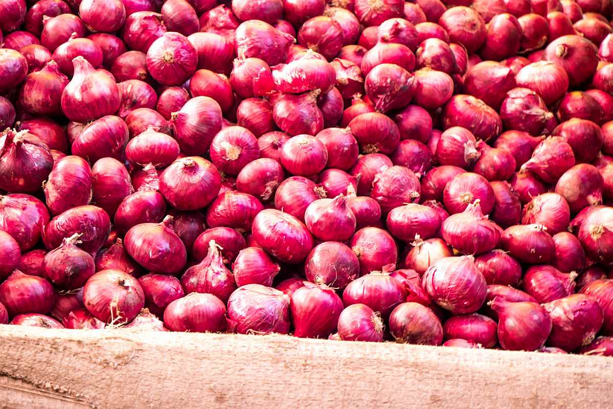 बजारमा सुकेको प्याजको भाउ घट्यो, कति पर्छ किलोको?