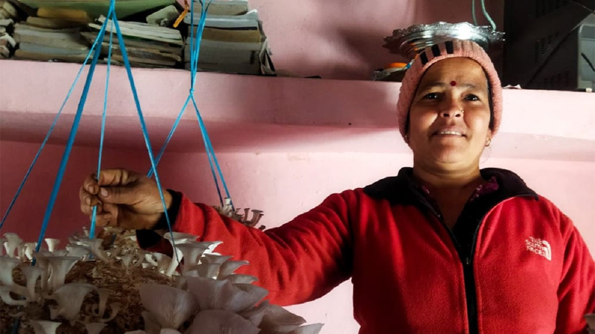 तालिम पाएपछि च्याउखेतीतर्फ महिलाको आकर्षण