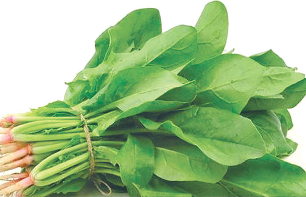 बजारमा  घट्यो सागको भाउ, कुनको कति ?