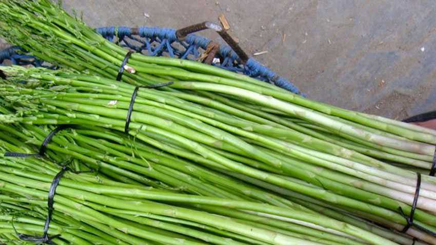 बजारमा कुरिलोको मूल्य घट्यो, प्रतिथोक कति ?
