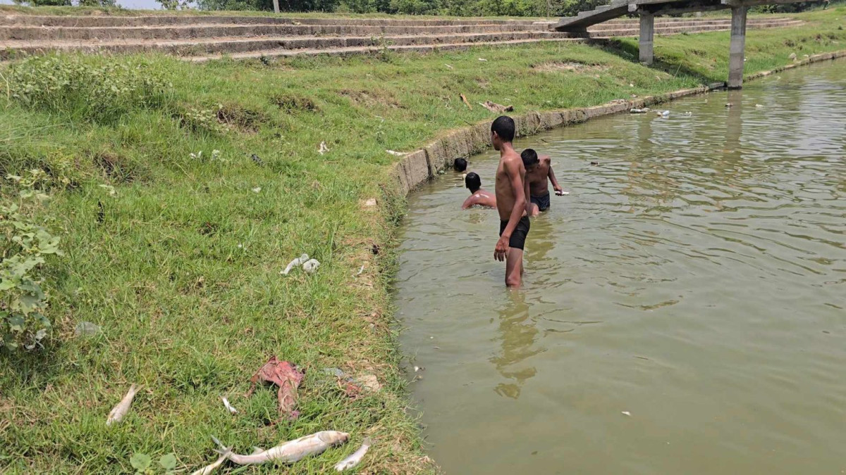 रौतहटमा गर्मीका कारण मर्न थाले पोखरीका माछा