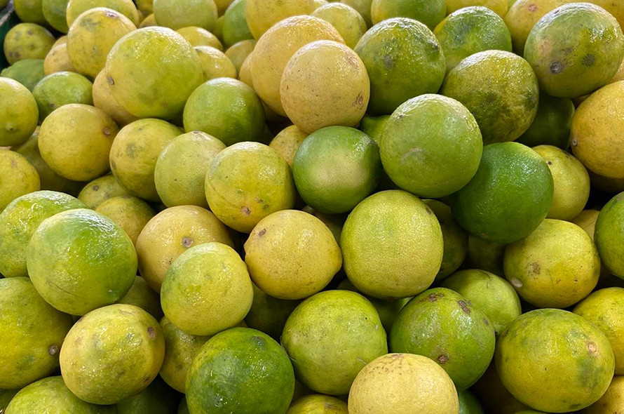 कागतीको भाउ घट्यो, किलोको कति ?