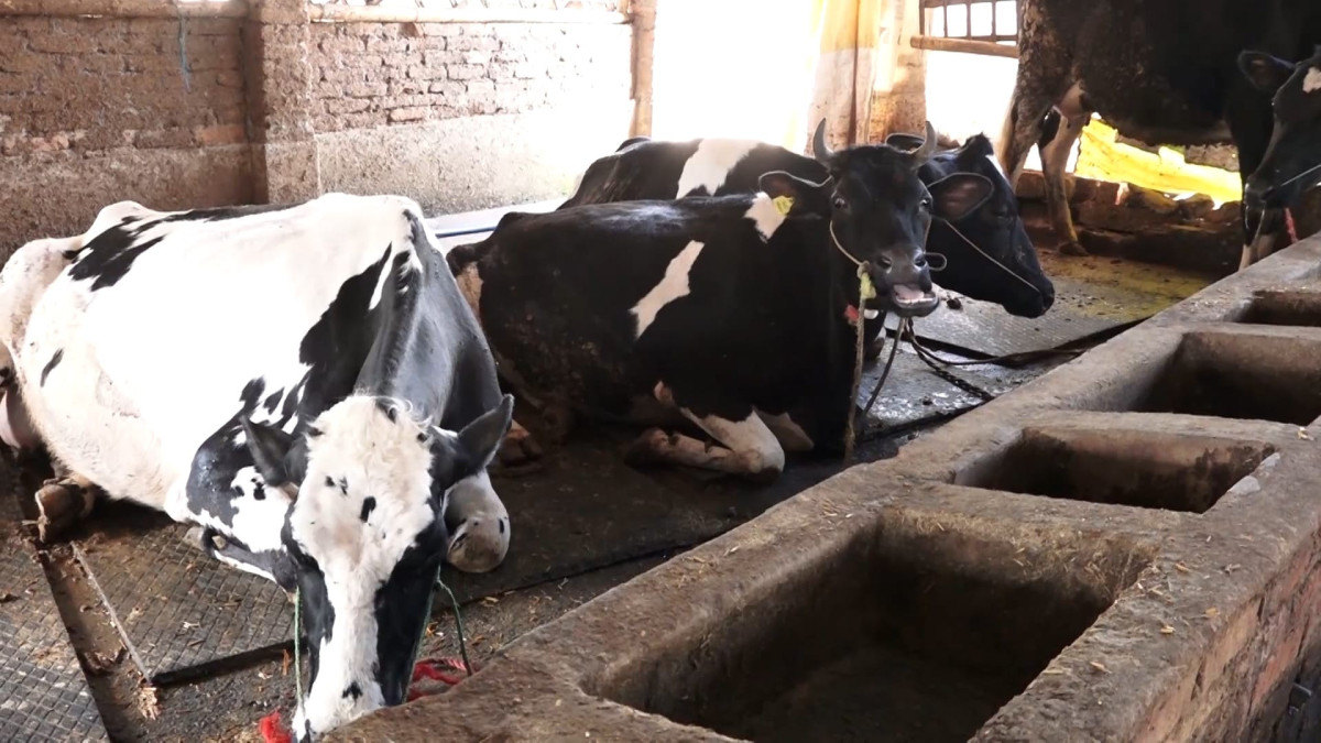 पाडीबाच्छी हुर्काउन ३० लाख अनुदान