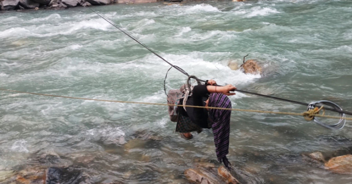 कर्णाली प्रदेशमा तुइनको संख्या अझै ५० ठाउँमा  रहेको तथ्याङ्क सार्वजनिक