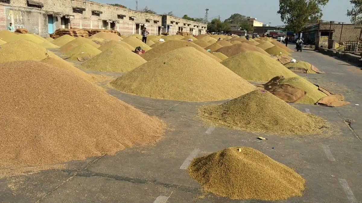 भारतबाट एक वर्षमा आयो २० अर्ब ३५ करोडको धान