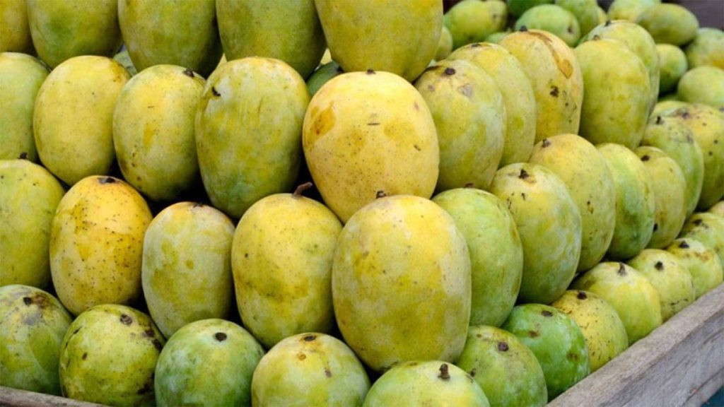 आँपको मूल्य बढ्यो, कति पुग्यो किलोको?