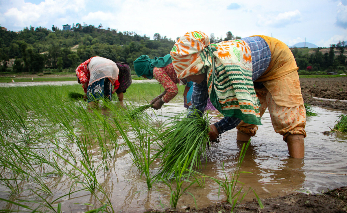 Holiday inn hotal.jpg