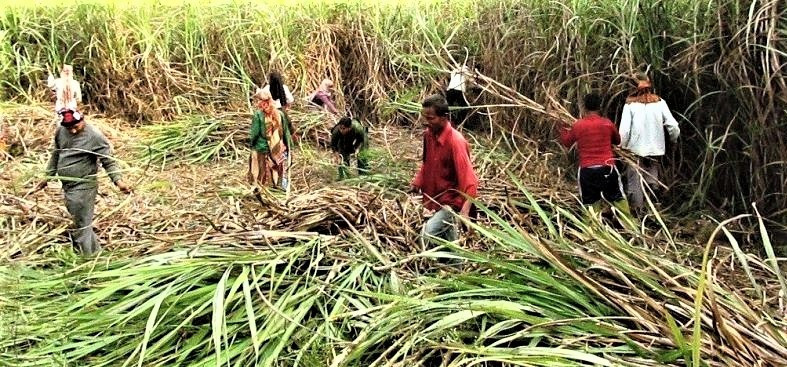 उखु किसान आन्दोलित, अनुदान माग
