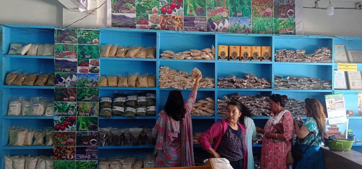 जुम्लाबाट ७० करोड रूपैयाँ बराबरकाे कृषि वस्तु निर्यात