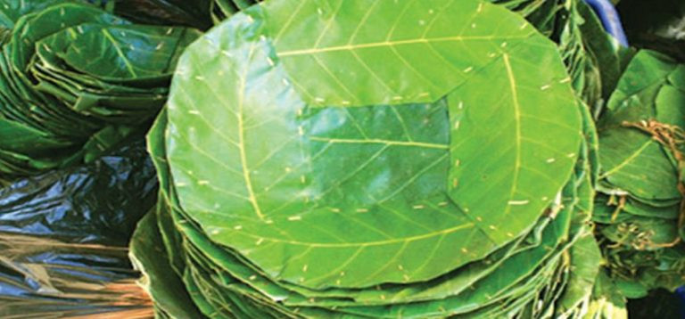 आम्दानीको मुख्य स्रोत बन्दै दुनाटपरी