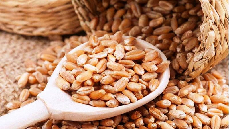 भारतबाट ४० हजार मेट्रिक टन गहुँ आयातका लागि प्रस्ताव आह्वान