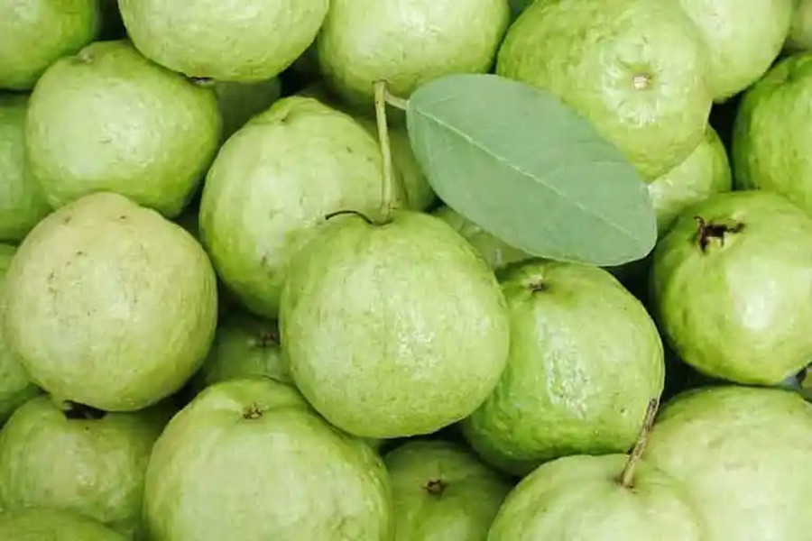 अम्बाको भाउ घट्यो, किलोको कति ?