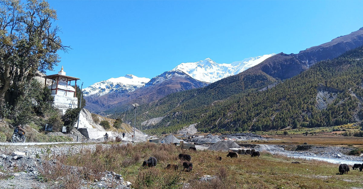 परम्परागत चौँरी खर्क पेसा संकटमा