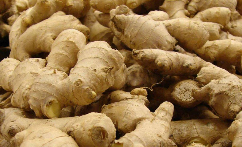 सावधान !जाडो याममा  धेरै अदुवा खानु हानिकारक