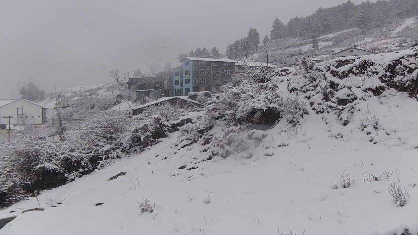 नेपाली सेनाद्वारा मुस्ताङको हिमपात प्रभावित क्षेत्रबाट १५ जना पर्यटकको उद्धार