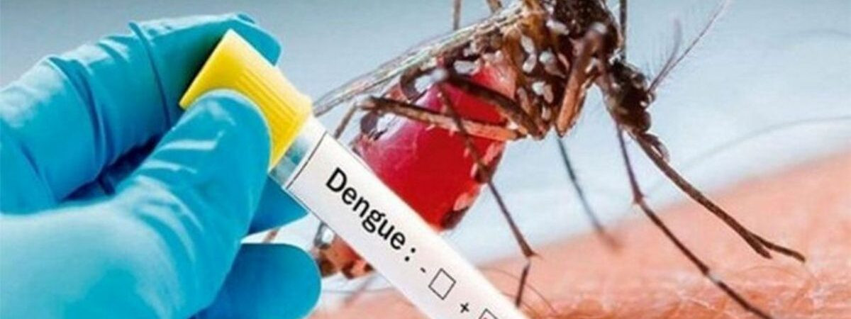 बागलुङमा ५३२ जना डेङ्गु संक्रमित फेला
