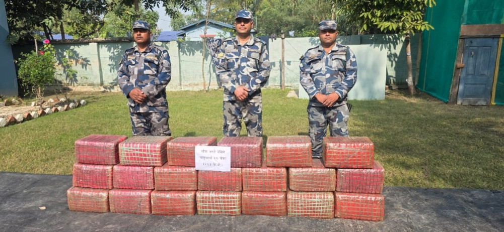 परालको कुन्युबाट २ क्विन्टलभन्दा बढी गाँजा बरामद