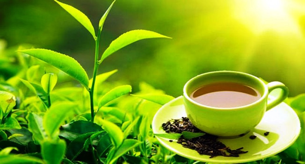 पूर्वीनाकाबाट एक अर्ब ३७ करोडको चिया निर्यात