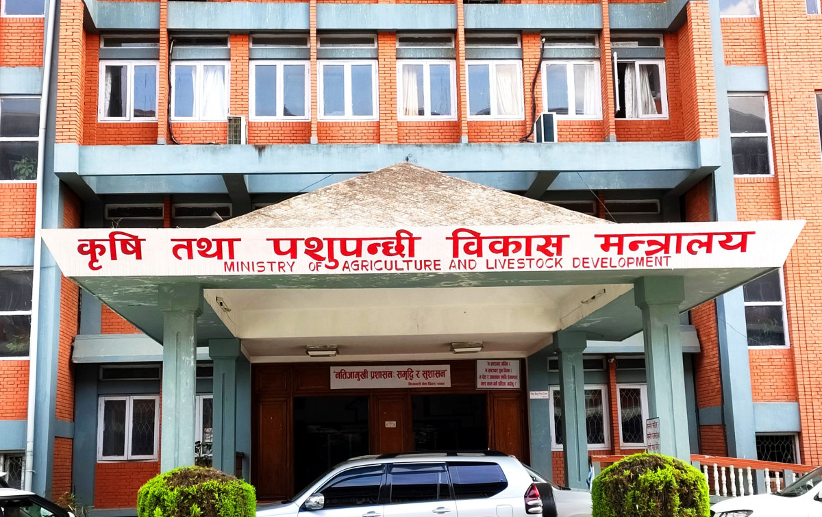 चैते धानको समर्थन मूल्य तोक्न अध्ययन सुरु
