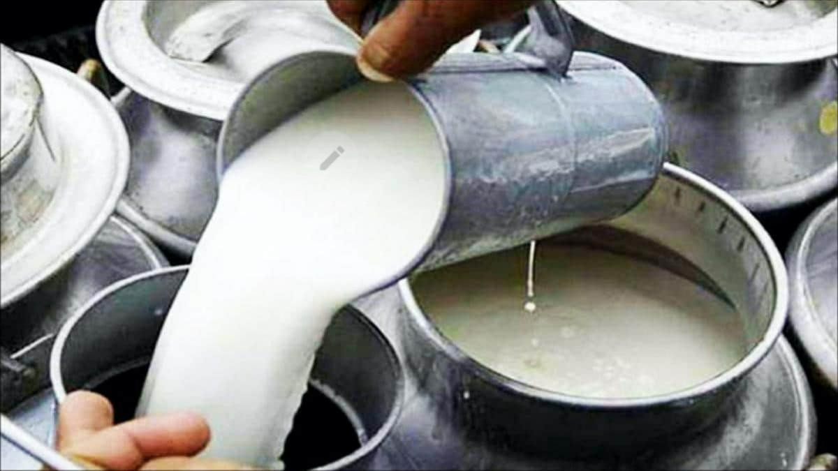 सुदूरपश्चिममा प्रतिव्यक्ति दूध उपलब्धता १२०–१३० लिटर