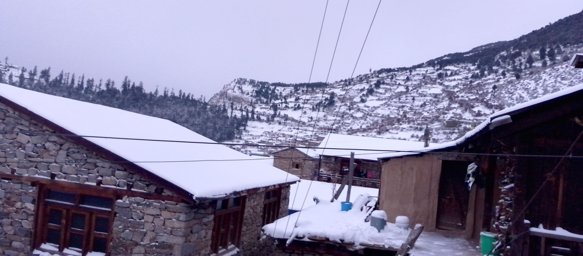 हुम्लामा भारी हिमपात हुँदा किसान रमाए