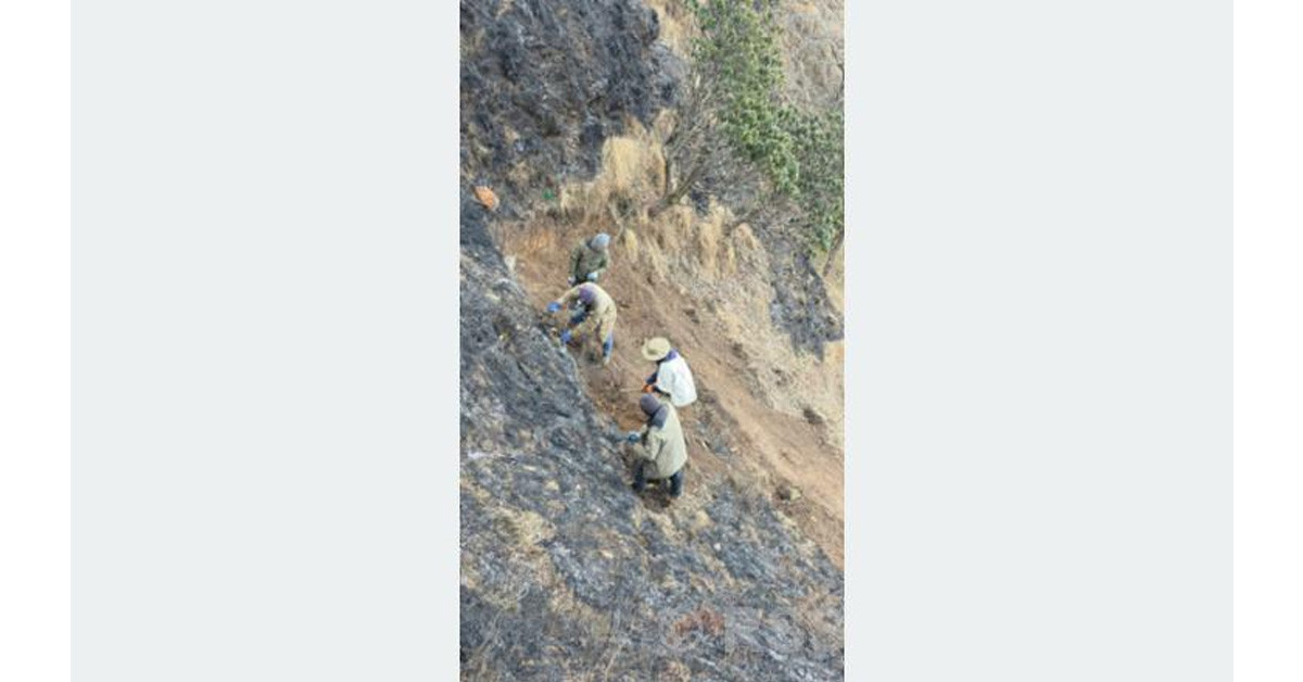 धौलागिरि आइसफल जोड्ने पदमार्ग निर्माण
