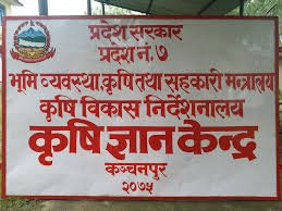 व्यावसायिक तरकारीखेतीबाट परिवारको आर्थिक आधार मजबुत बनाउँदै