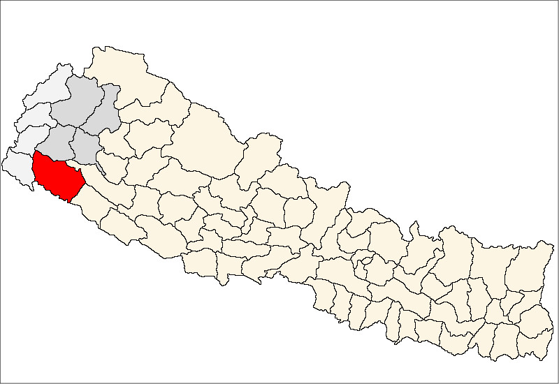 कैलालीमा गहुँ खरिद सुरु, किसानलाई समर्थन मूल्यभन्दा बढी भाउ