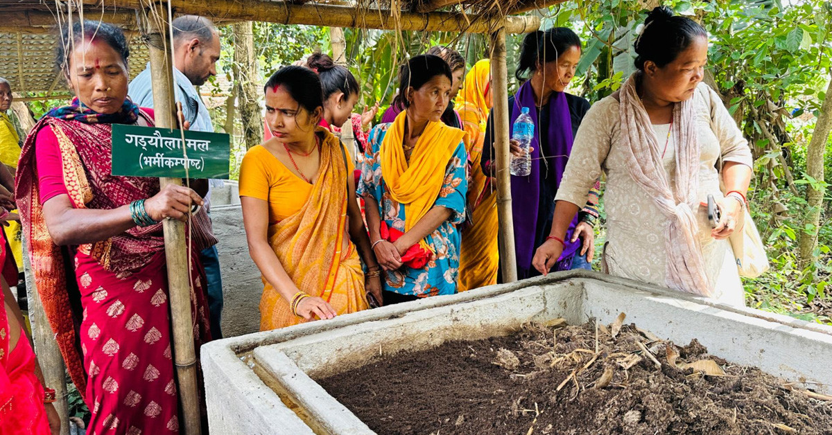 रासायनिक मललाई प्रतिस्थापन गर्दै गँड्यौला मल