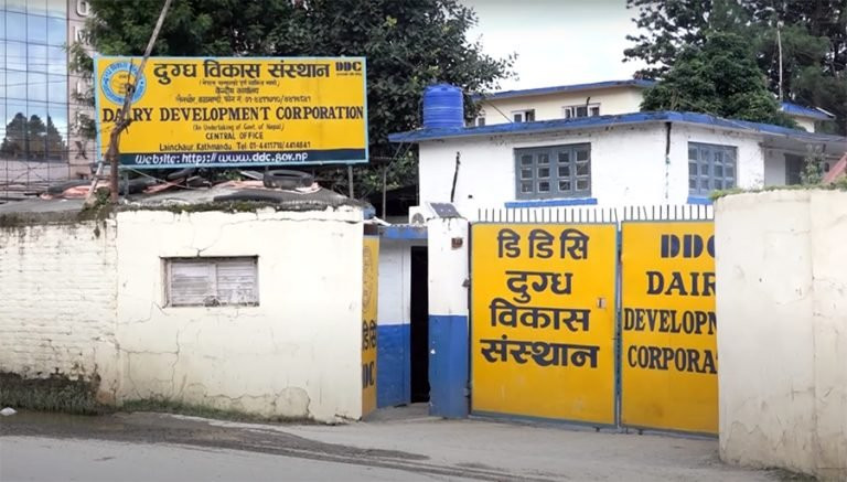 साउन मसान्तभित्र सम्पर्कमा आएका फार्म र सहकारीबाट मात्रै डीडीसीले दूध किन्ने