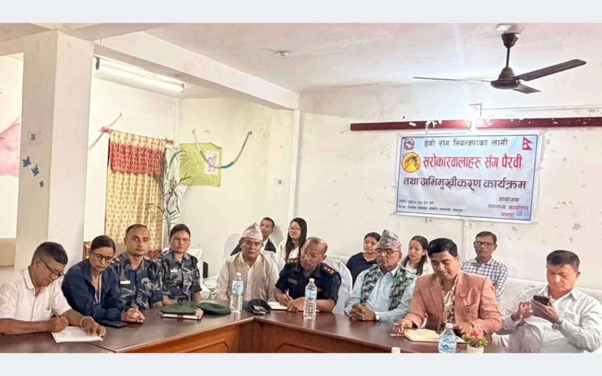 पाल्पामा २५५ जनामा डेङ्गु सङ्क्रमण पुष्टि