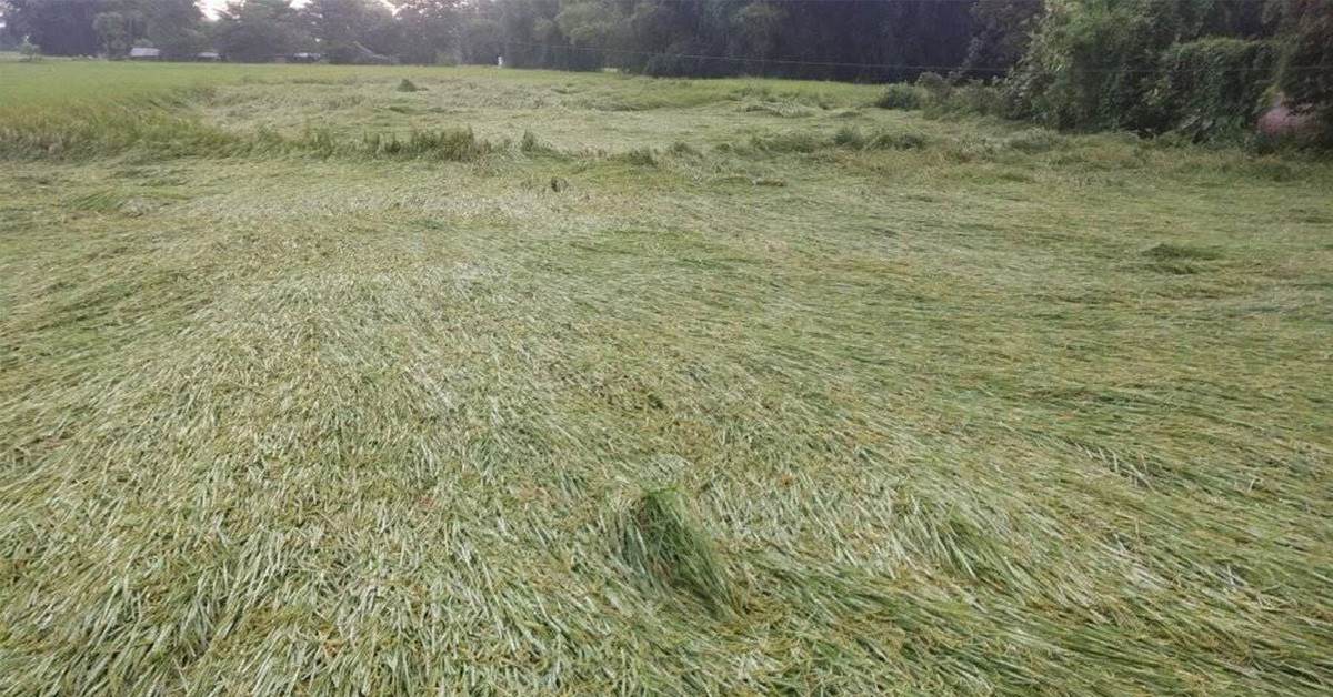 कात्तिक १० देखि १५ गतेसम्म देशभर वर्षाको सम्भावना,