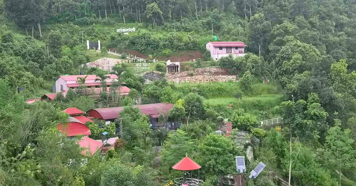 जडीबुटी उद्यान अवलोकन गर्न तनहुँको झाङ्गाझोली