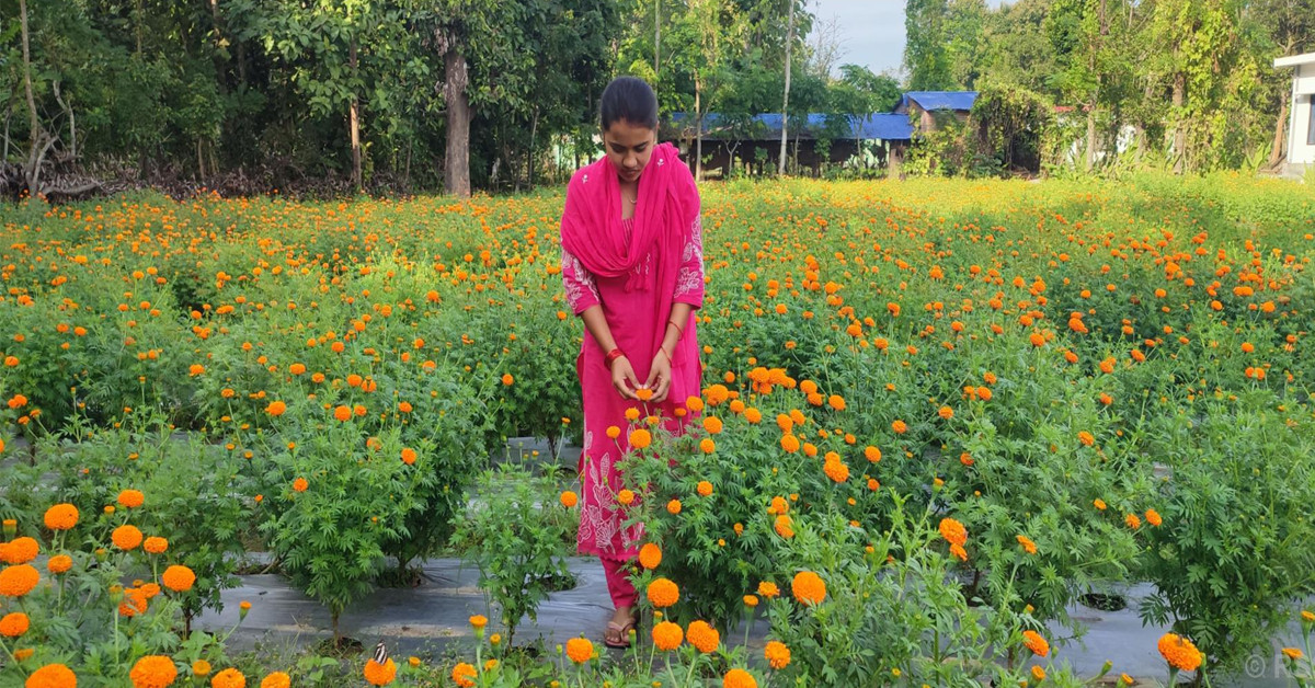 कृषि जेटिएको फूलखेती